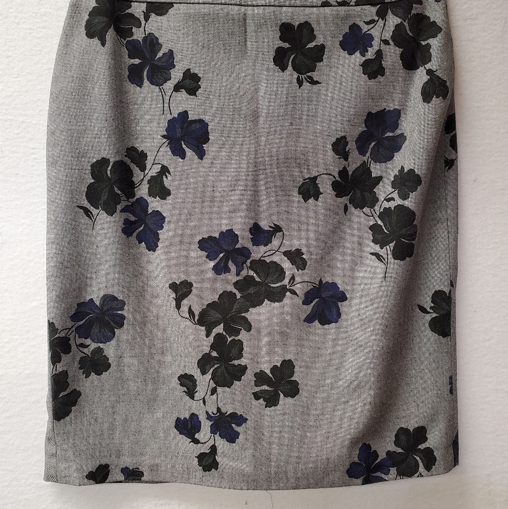 Ann Taylor skirt
